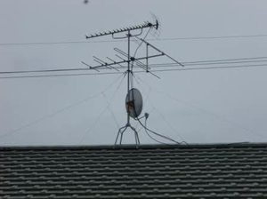 パラダイス A201号-15