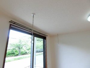 パラダイス G101号-15