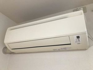 ラフィード A202号-12