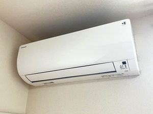ラフィード C101号-14