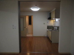 スプリングフラット 0101号-8