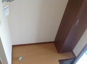 プランドールS B105号-11