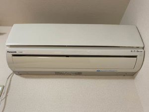 アムールダイコク C102号-13