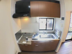 ルミエール国府 0101号-6