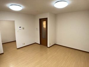 ルミエール国府 0102号-2