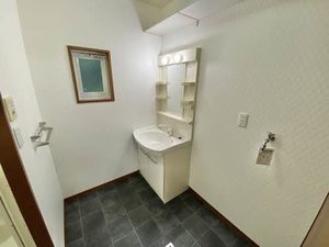 ストロベリーフィールズ C102号-11