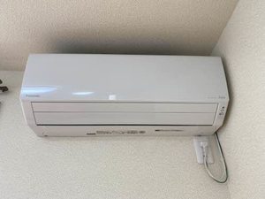 ストロベリーフィールズ F201号-15