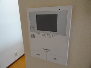 パープルリツ 0102号-11