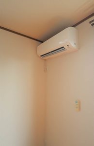 ミナミタウンスギ 0201号-6