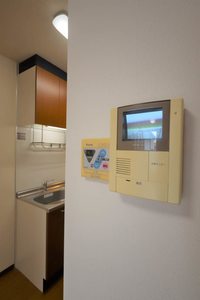 ミナミタウンスギ 0201号-9