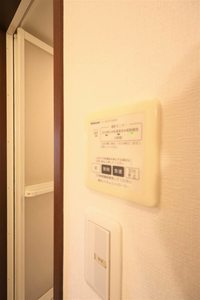 ミナミタウンスギ 0201号-11