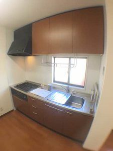 ノヴェル・フォー B102号-4