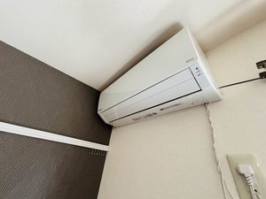 メゾンイリス 0101号-4