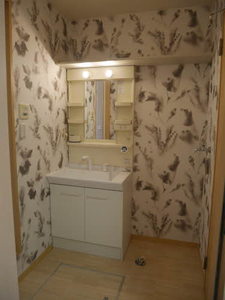 ラズベリータウン 0103号-11