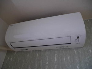 ラズベリータウン 0103号-14