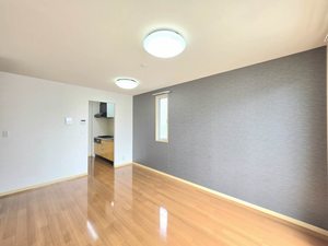 グレイスステージⅢ B201号-5