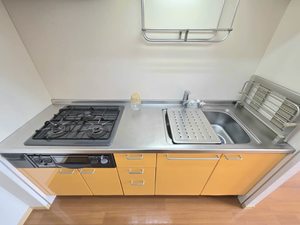 グレイスステージⅢ B201号-7