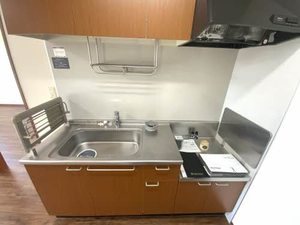 Mountain Ridge B202号-3