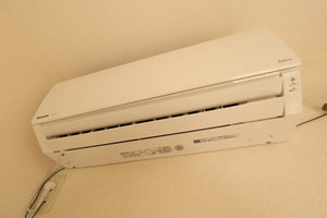 ブランシェアイリス B101号-7