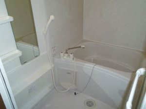 ブランシェアイリス B102号-10