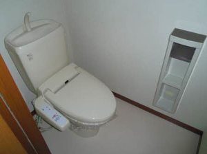 ブランシェアイリス B102号-11