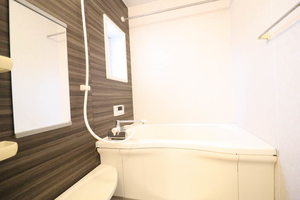 image B205号-7