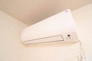 image B205号-12