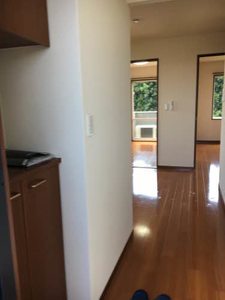 チェリーブラッサム A201号-2