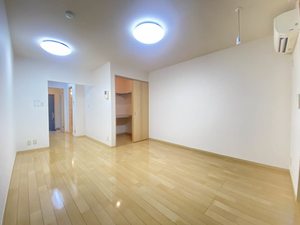 ＡＬＬＵＲＥ 0102号-2