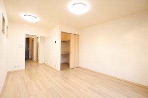 ＡＬＬＵＲＥ 0201号-3