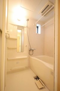 ＡＬＬＵＲＥ 0208号-9