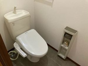 フォンターナ 0203号-6