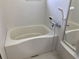 フォンターナ 0203号-8