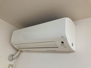 フォンターナ 0203号-9