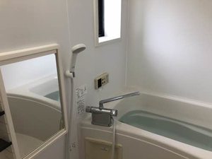 ラフランス B201号-6