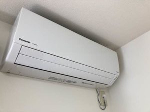 ラフランス B201号-9