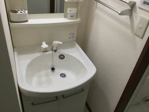 パストラール 0103号-10