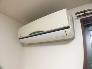 イストワ－ル B202号-5