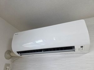 シャンテメゾン 0202号-14