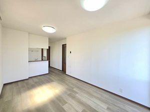 クレメント D202号-6