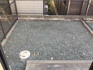 Ｔｈｉｎｋ 0101号-15