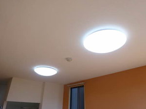 キングダムⅠ 1101号-15