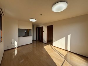 アプリコット A201号-2