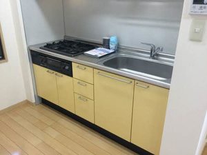 ピアチェーレ A103号-2