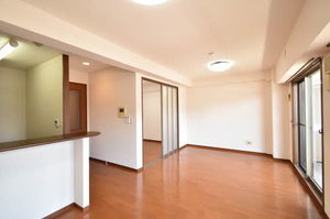 ヒルクレスト開明 0102号-10