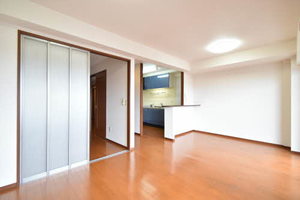 ヒルクレスト開明 0303号-3