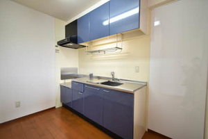 ヒルクレスト開明 0303号-4