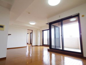 マキシムドルフＭ・Ｓ・Ｙ 0501号-2