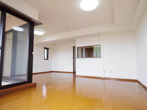 マキシムドルフＭ・Ｓ・Ｙ 0501号-3