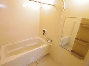 マキシムドルフＭ・Ｓ・Ｙ 0501号-11